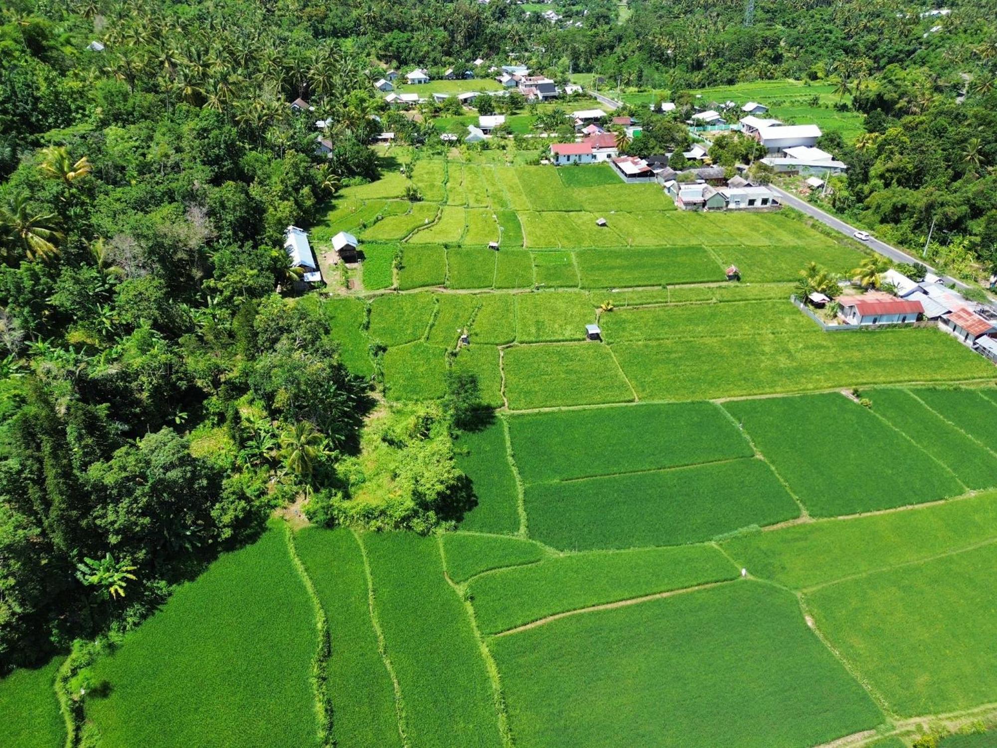 De Chicktoria Hostel Pemenang Luaran gambar